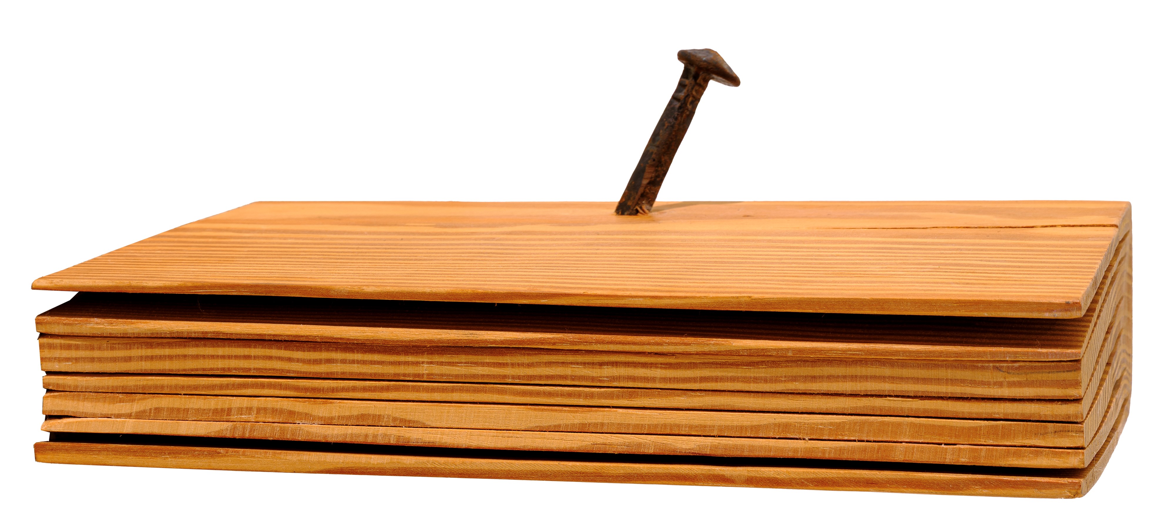 Libro muto