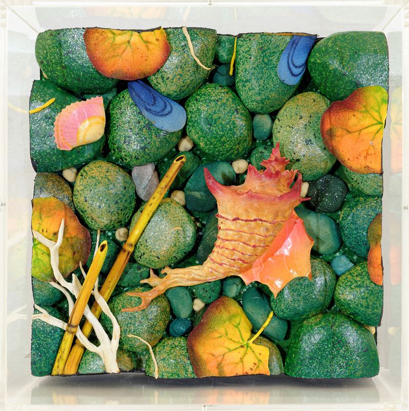 Spiaggetta con murex