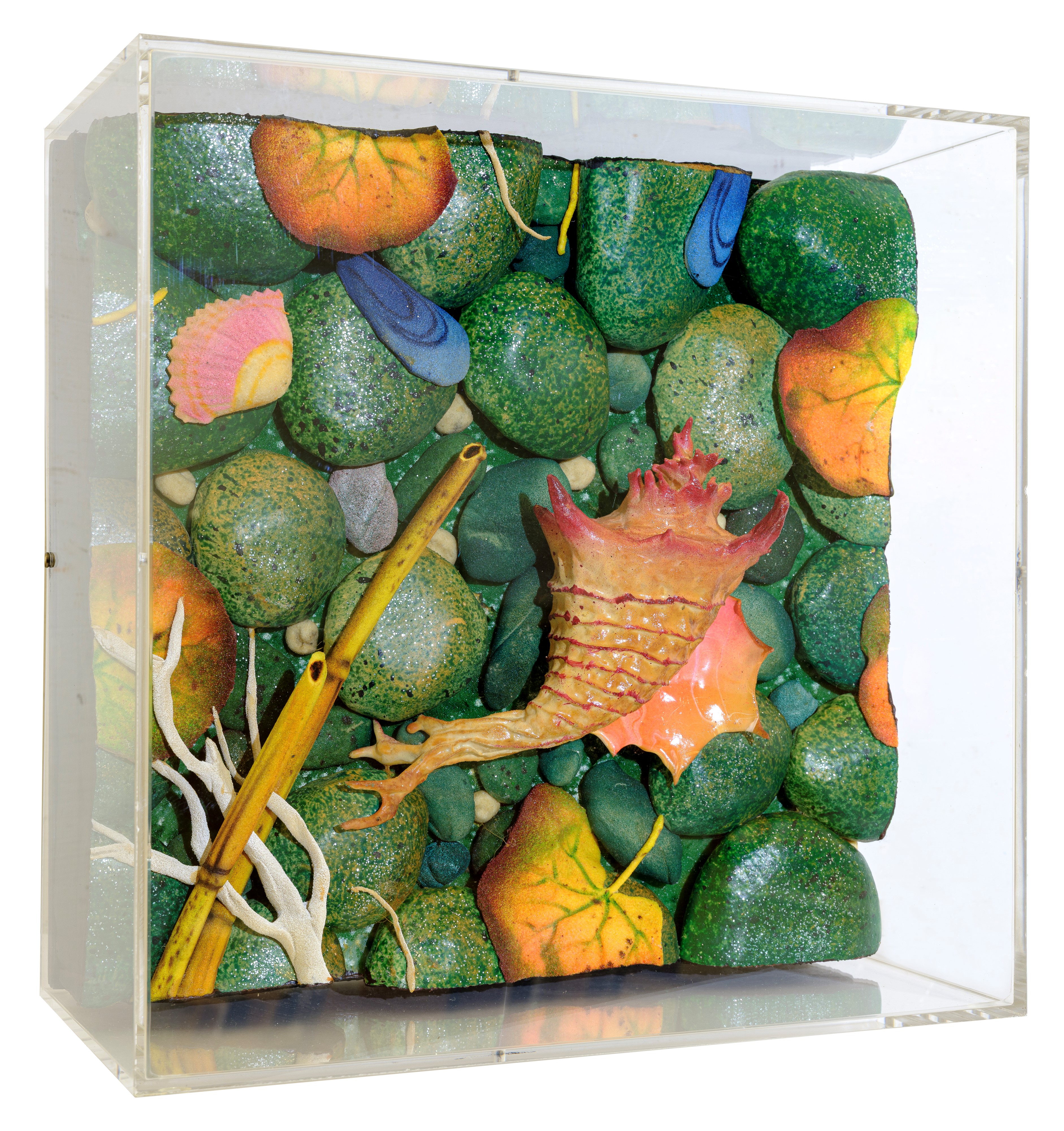 Spiaggetta con murex