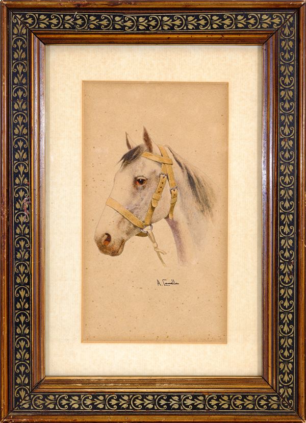 ANTONIO CANELLA - Testa di cavallo