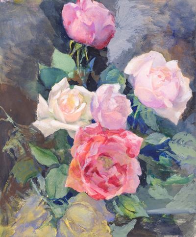 Gruppo di rose variopinte