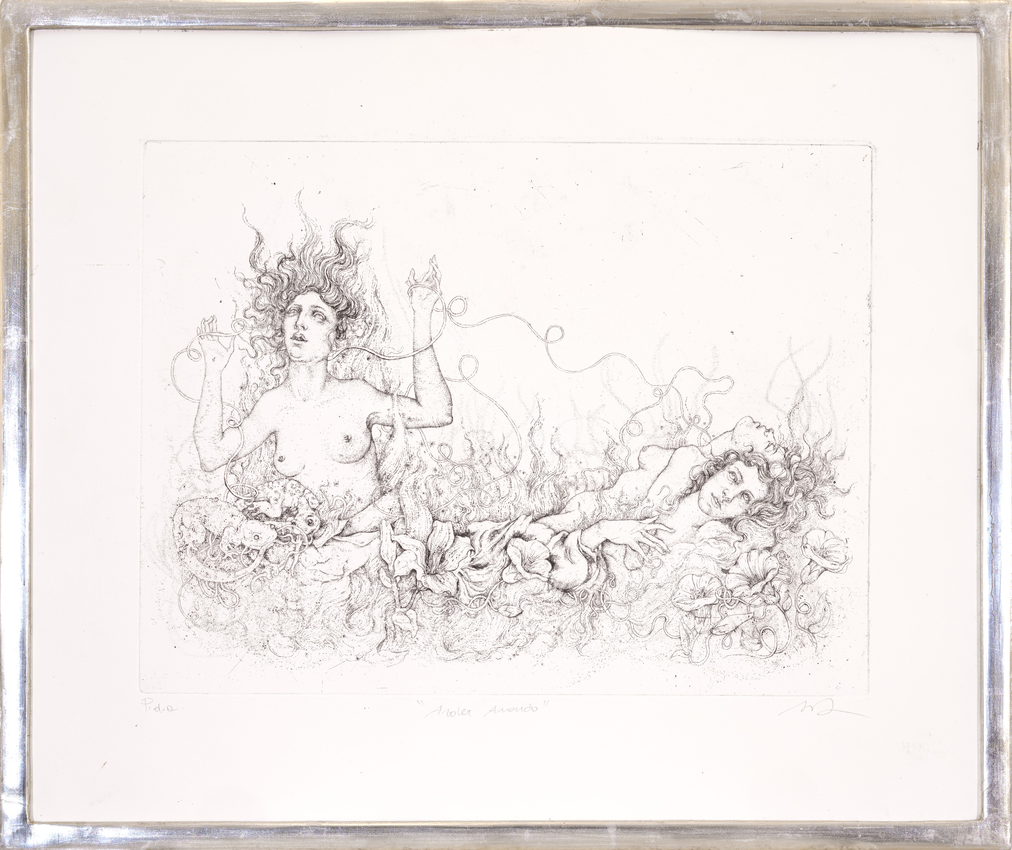 Amor volando - Ardea amando