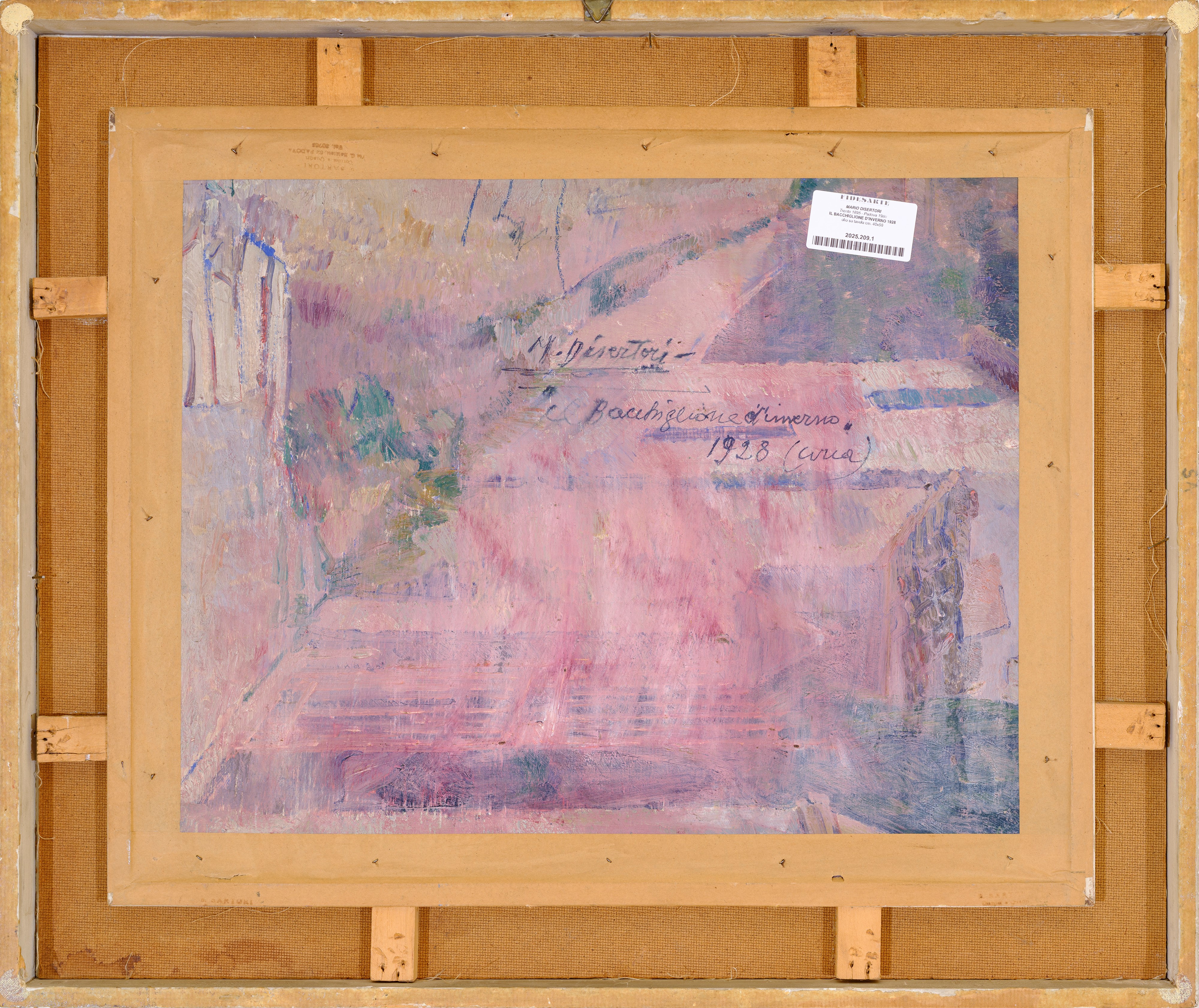 Il Bacchiglione d'inverno