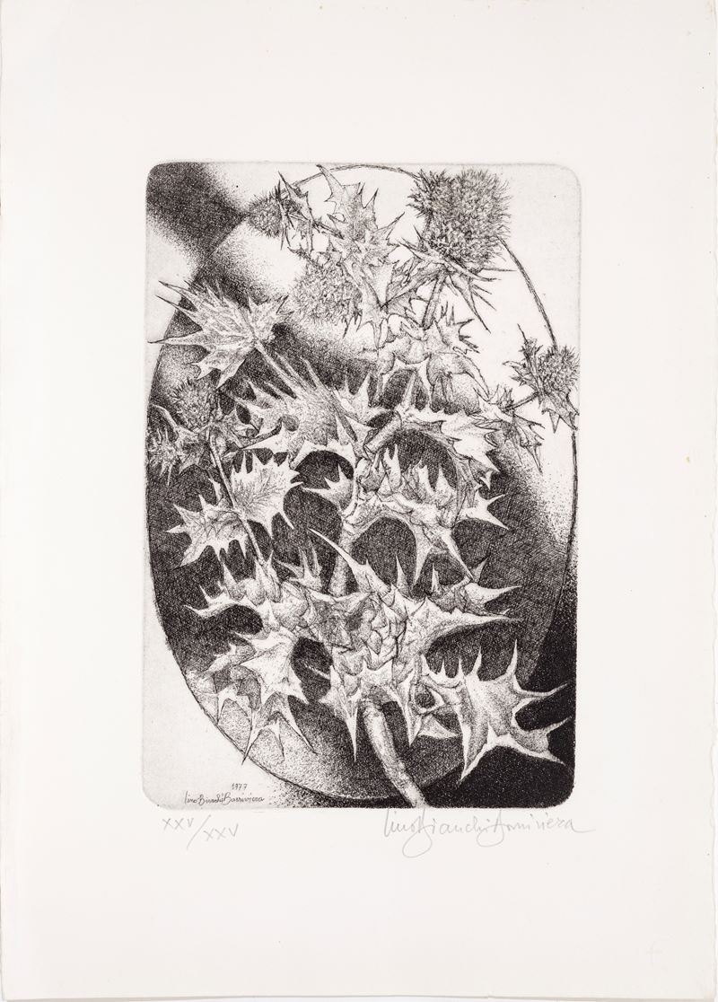 Vegetazione