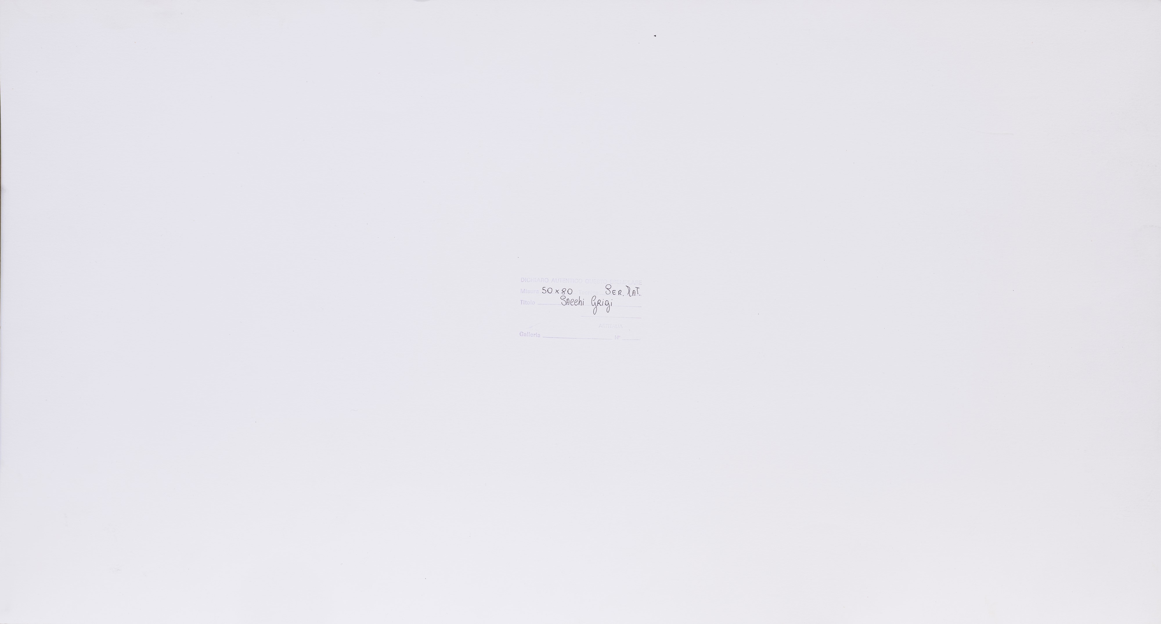 Norberto - Due litografie (tavole) entro tirature numerate