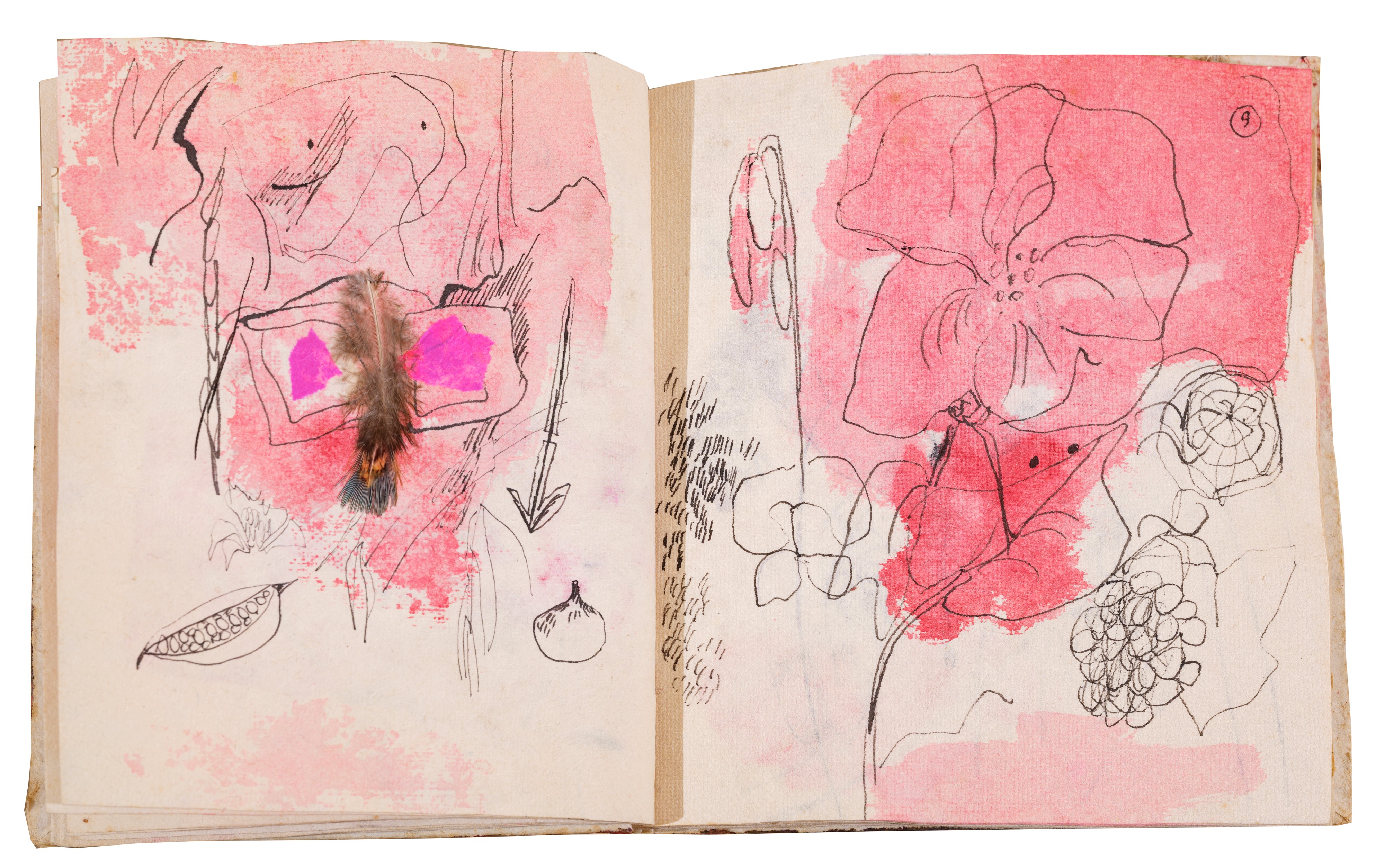 Da cento quartine e altre storie d'amore