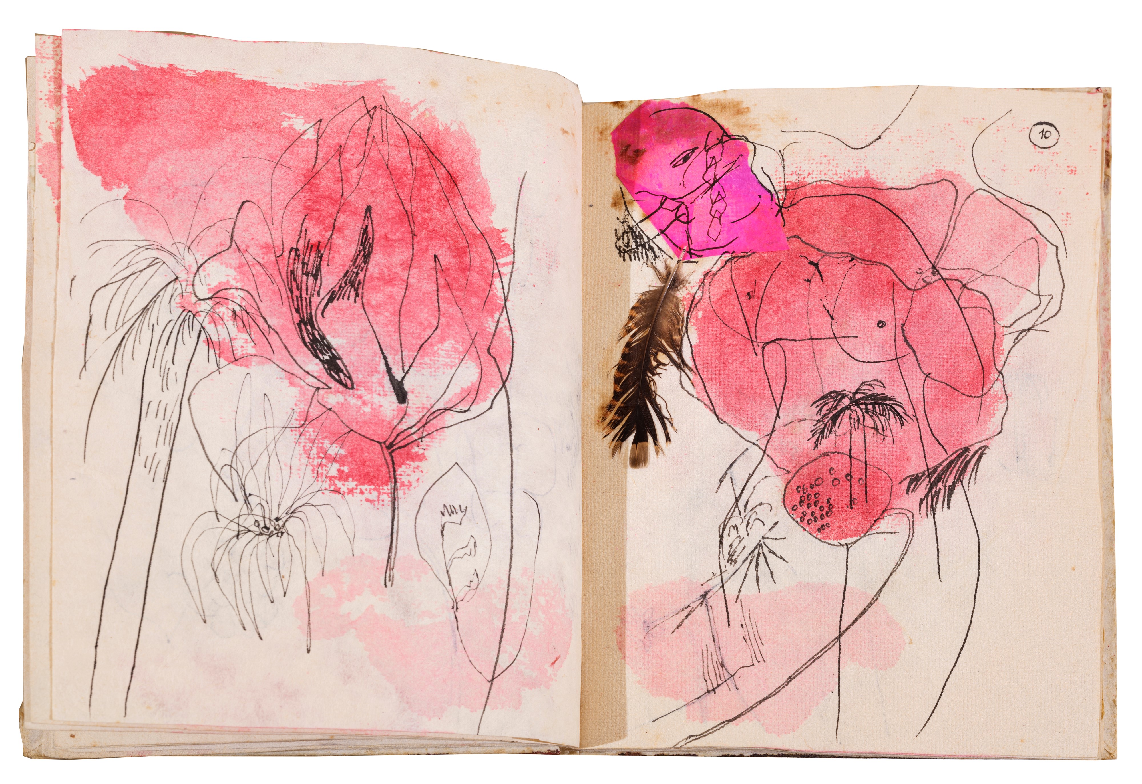 Da cento quartine e altre storie d'amore