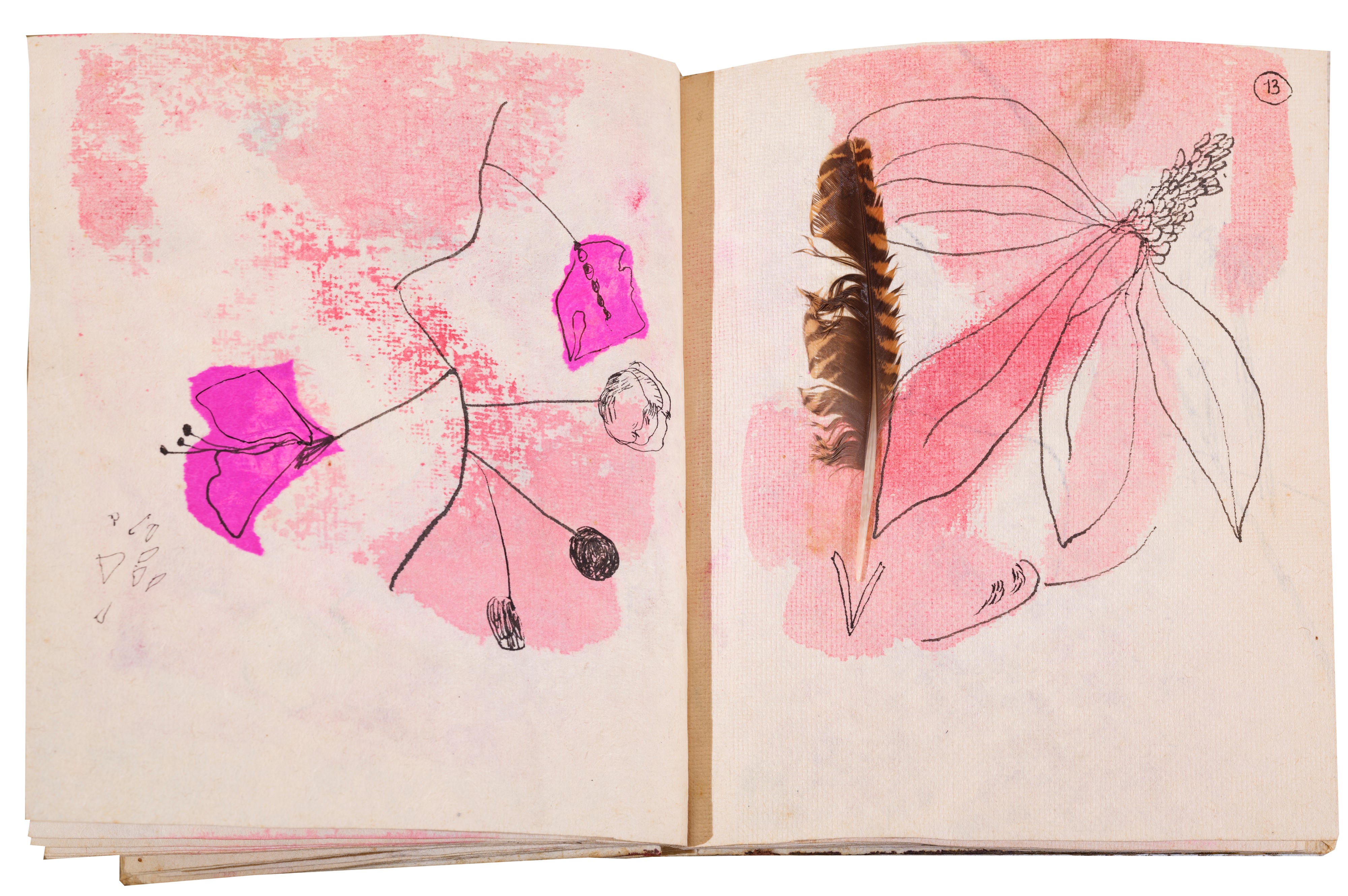 Da cento quartine e altre storie d'amore