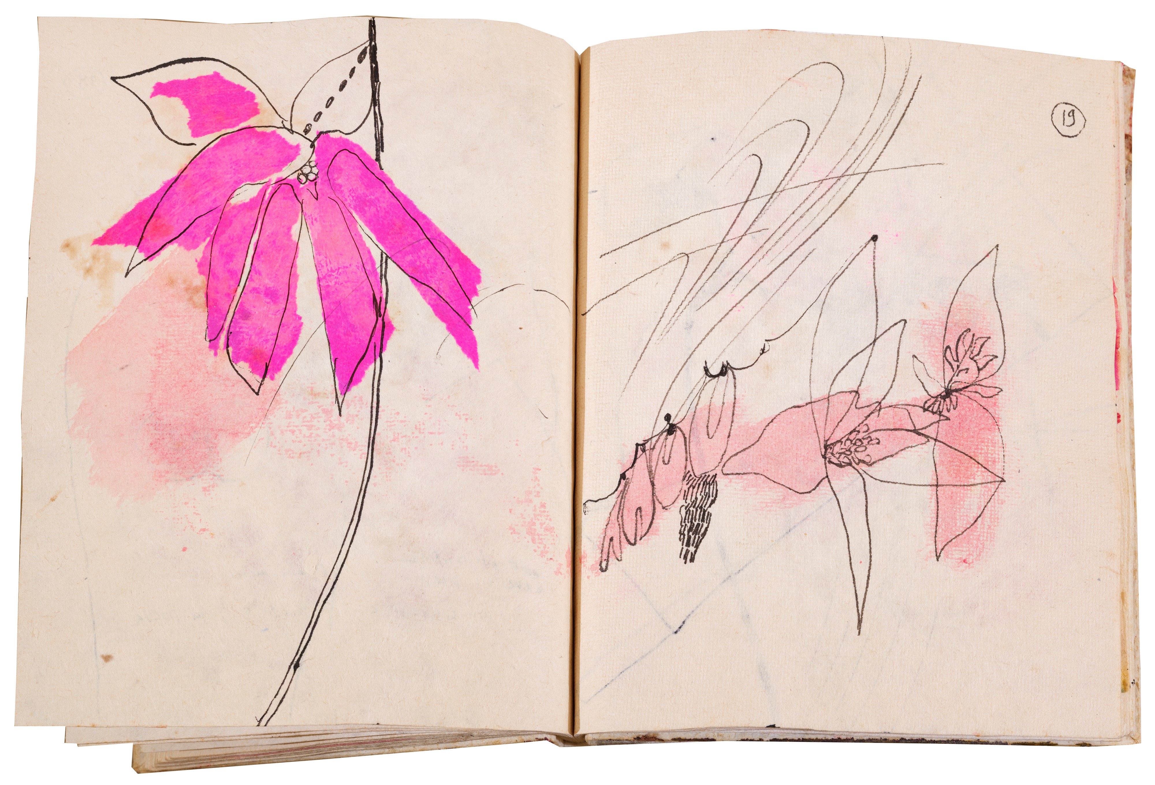 Da cento quartine e altre storie d'amore