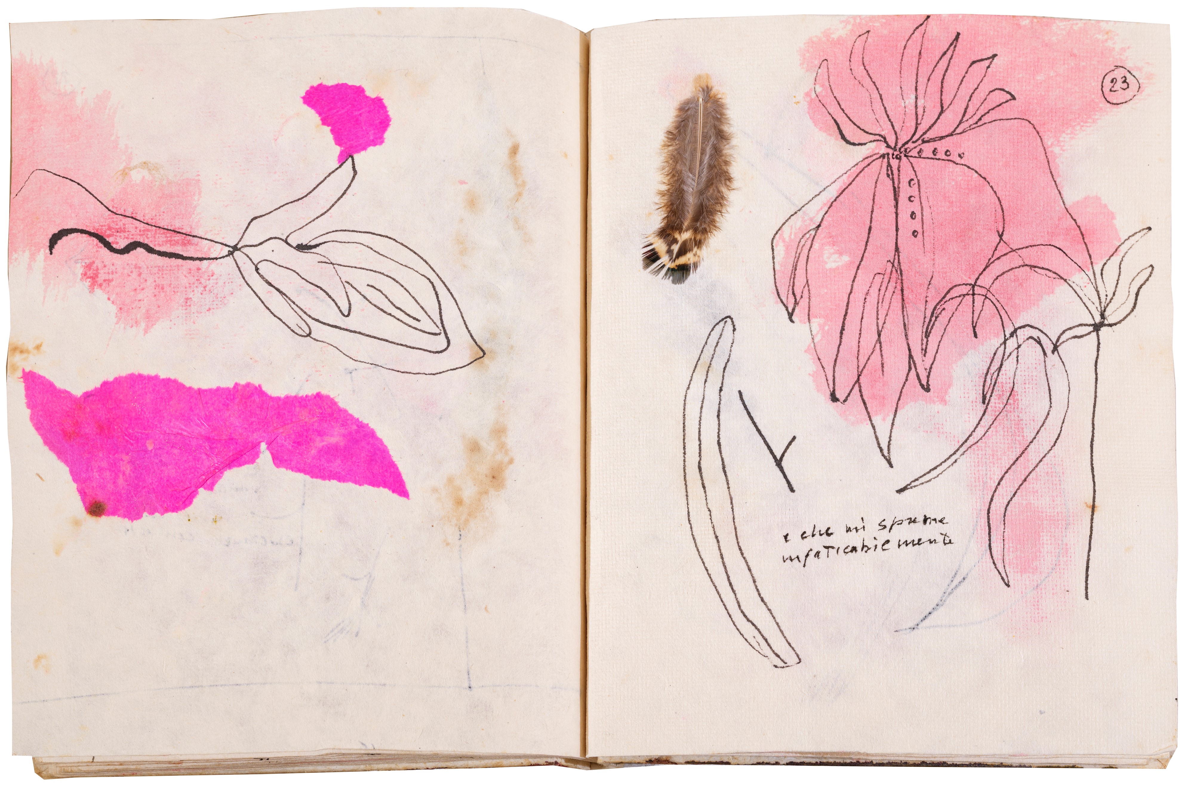 Da cento quartine e altre storie d'amore