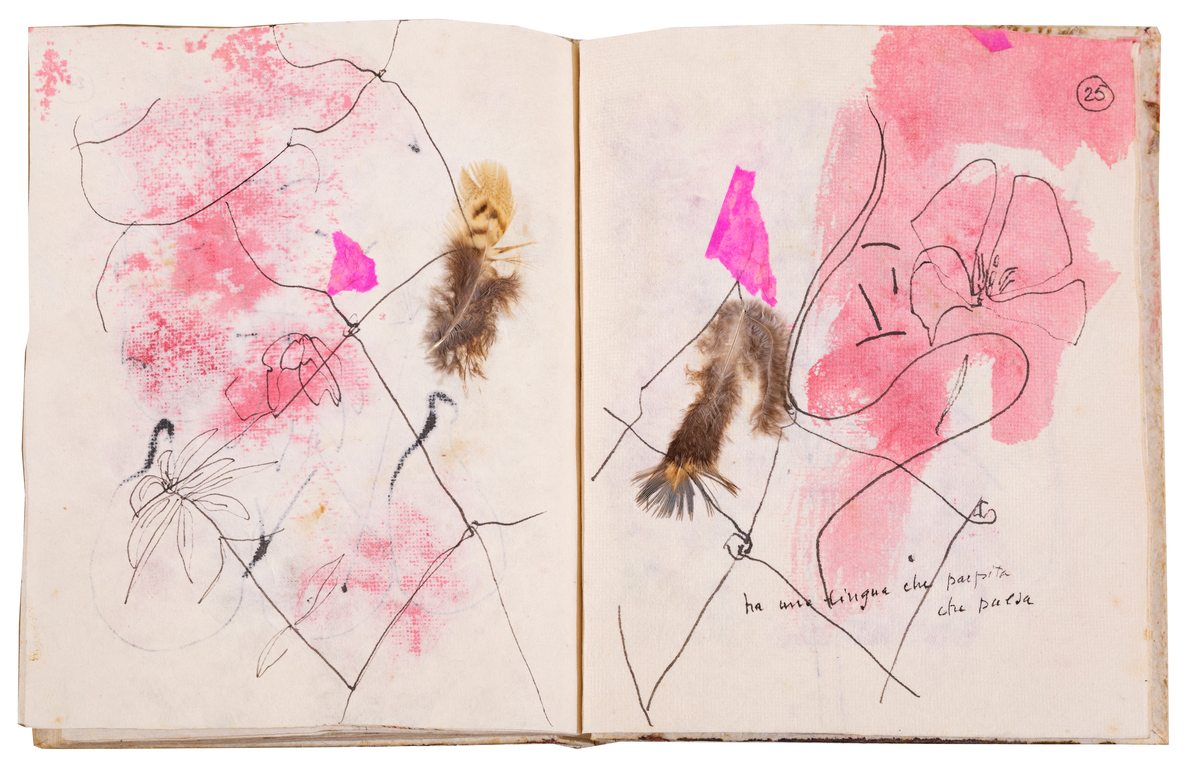 Da cento quartine e altre storie d'amore