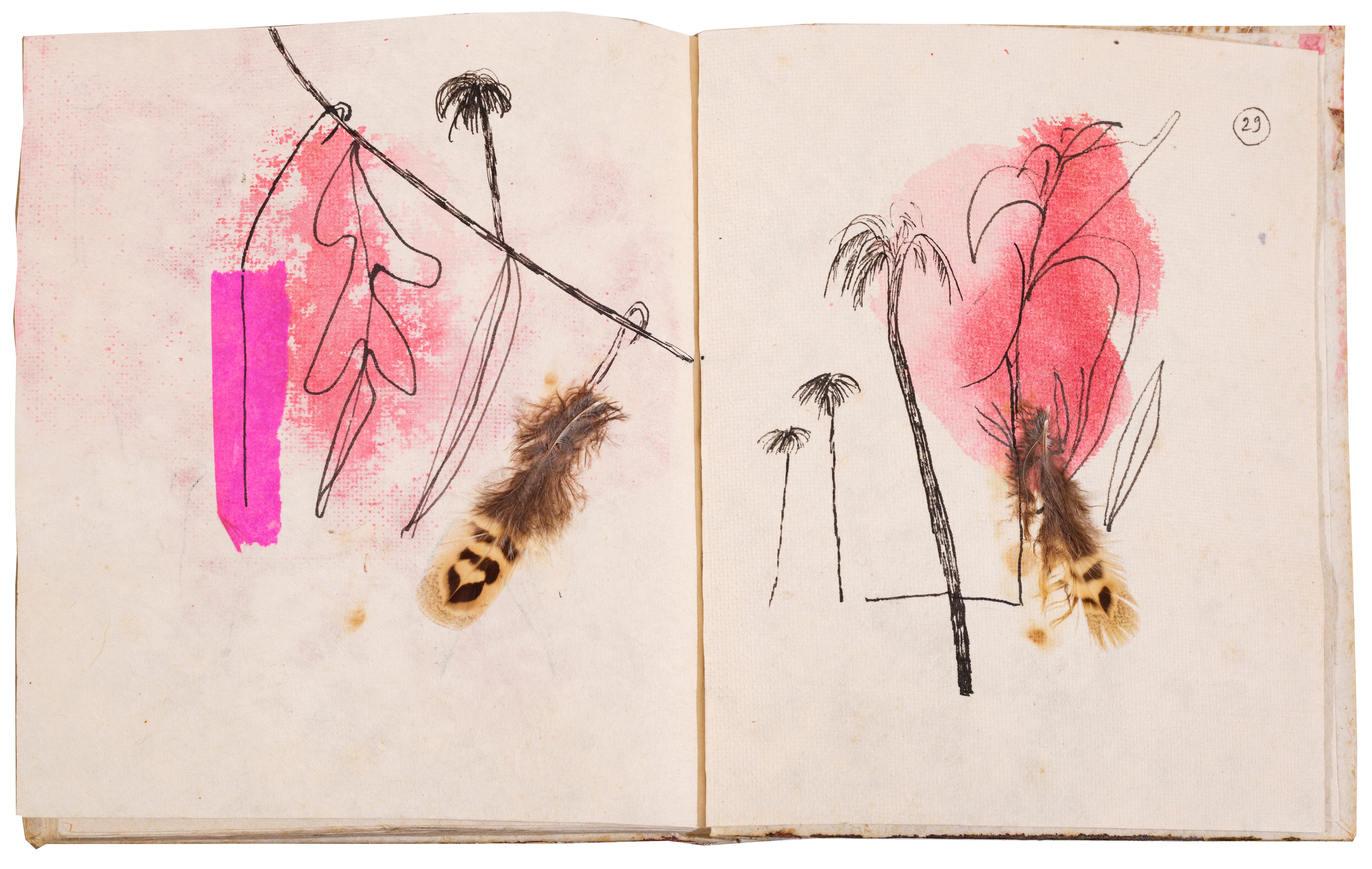 Da cento quartine e altre storie d'amore