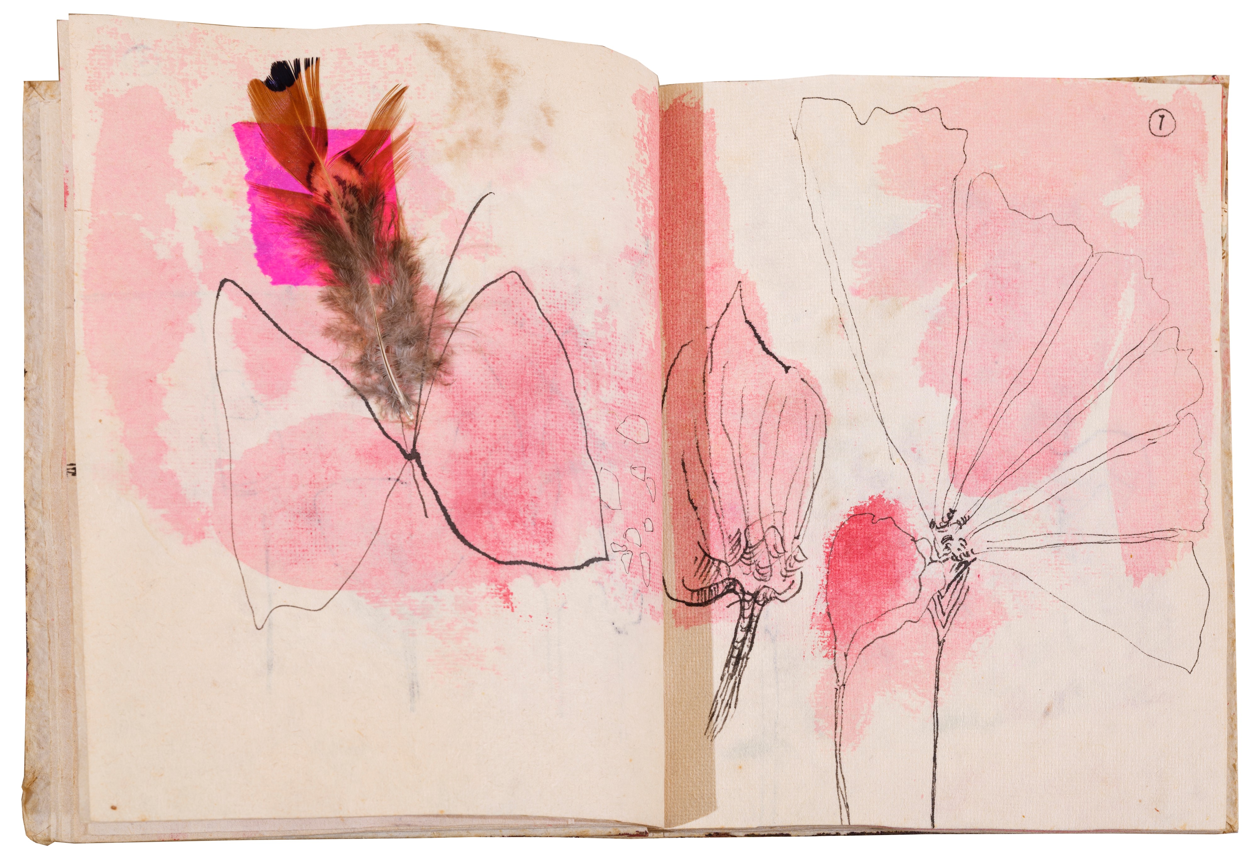 Da cento quartine e altre storie d'amore