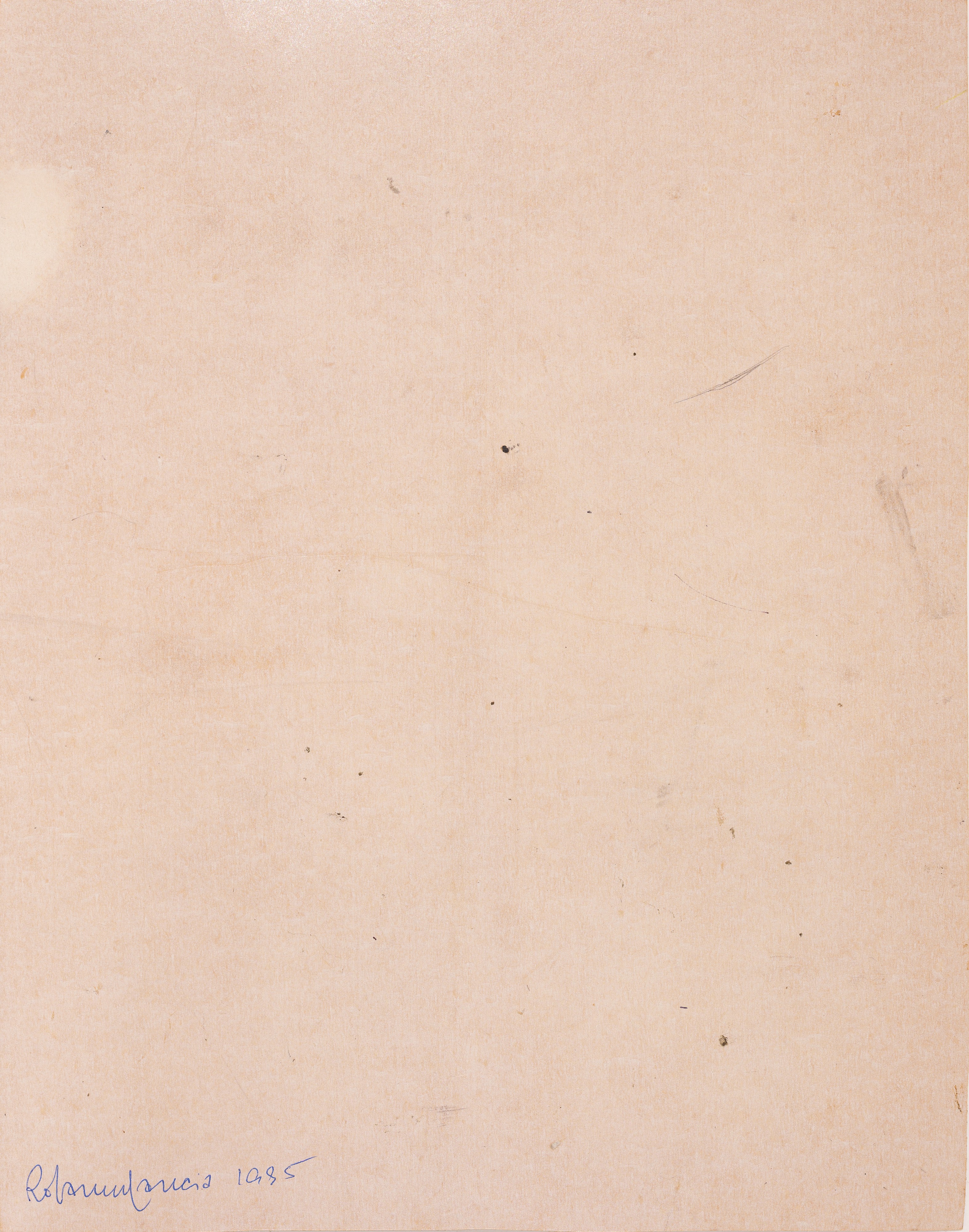 Rosanna Lancia - Senza titolo (gesso e pastello grasso su cartoncino)