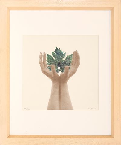 Da un albero di pagine (collage su base litografica)
