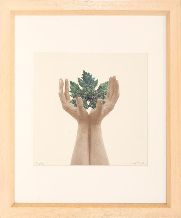 MIRELLA BENTIVOGLIO - From a tree of pages