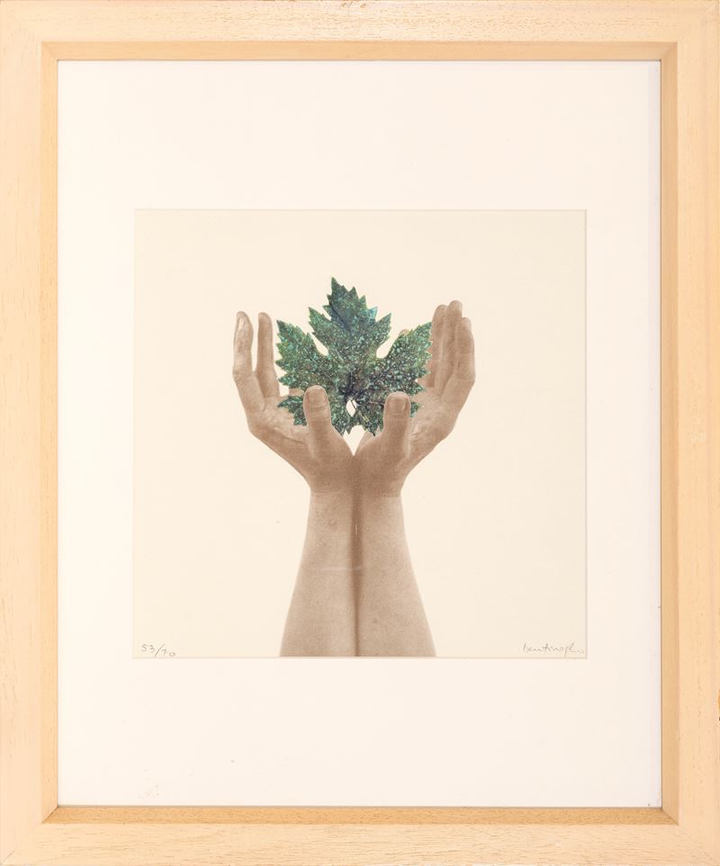 Mirella Bentivoglio - Da un albero di pagine (collage su base litografica)