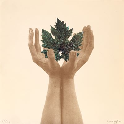 Da un albero di pagine (collage su base litografica, es. 27/70)