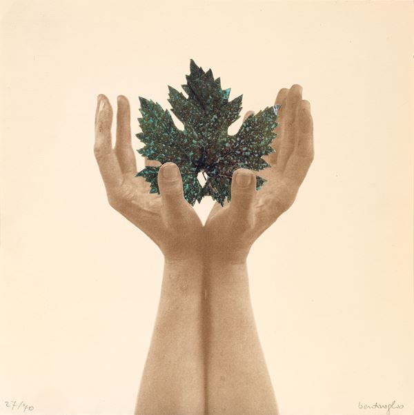 MIRELLA BENTIVOGLIO - From a tree of pages