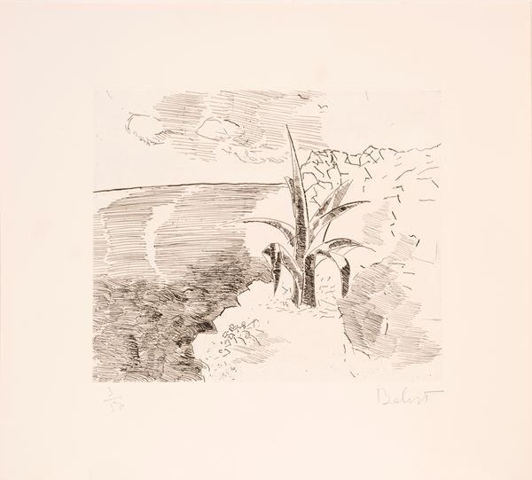 CORRADO BALEST - The agave on the rock