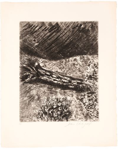 Le chene et le roseau, acquaforte (es. 12)