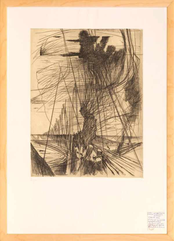 GIUSEPPE ZIGAINA - Vineyard