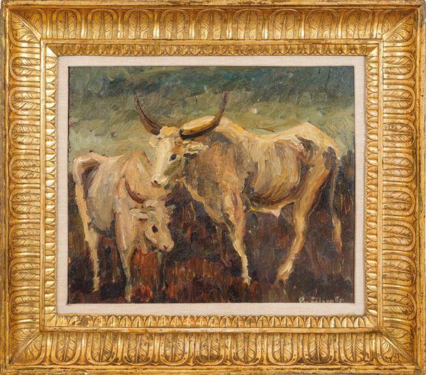 DOMENICO PURIFICATO - Oxen