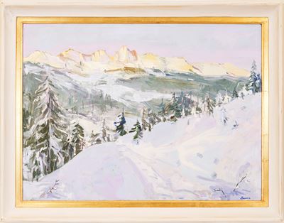Paesaggio Innevato nelle Dolomiti