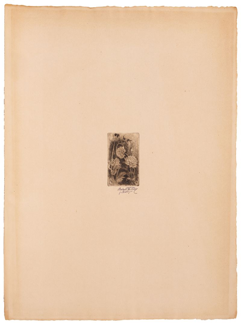 Mariano Fortuny Madrazo - Peonie