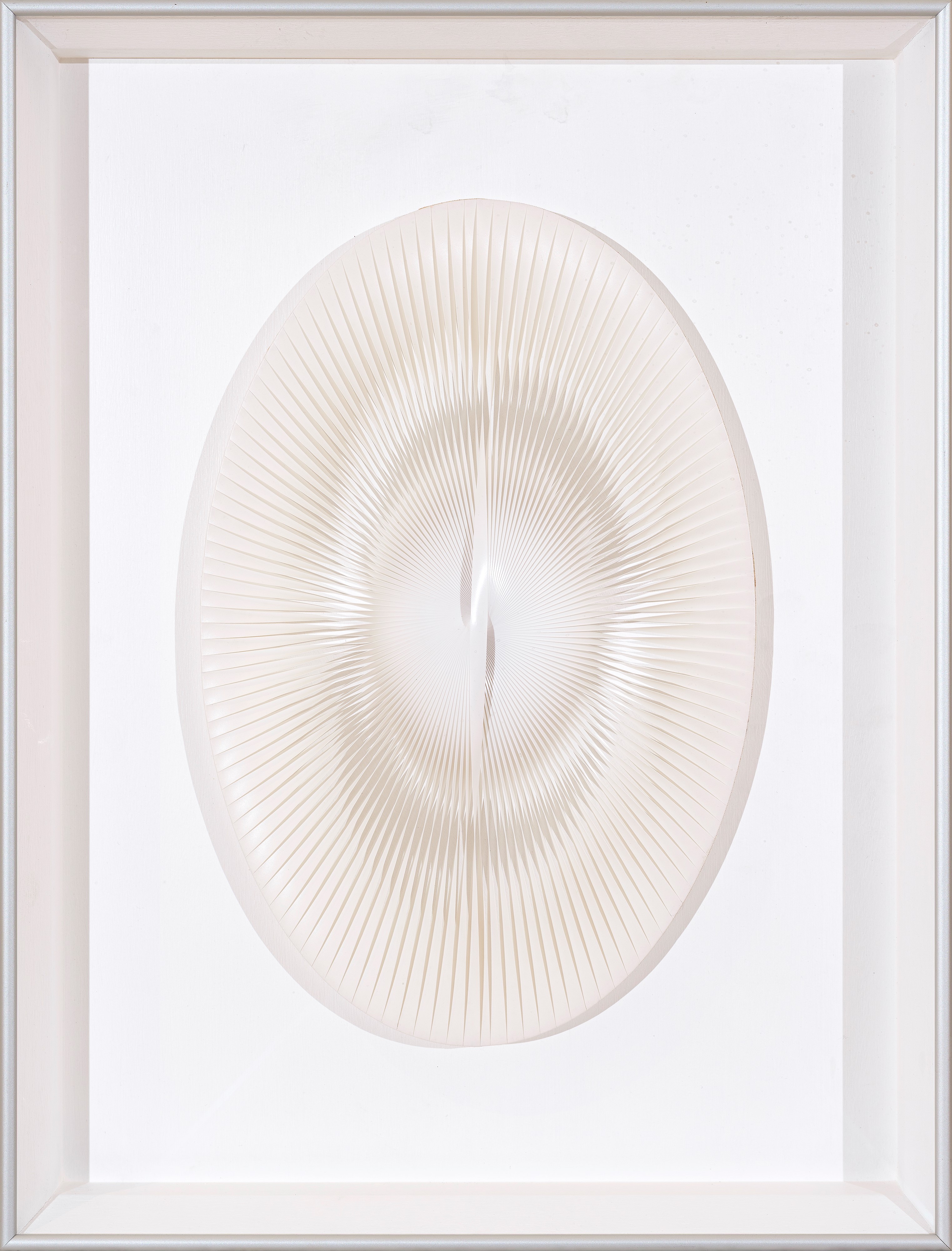 Alberto Biasi - Dinamica ellittica