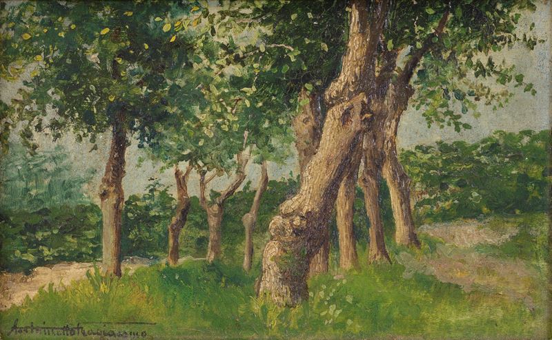 Antonietta Fragiacomo - Bosco