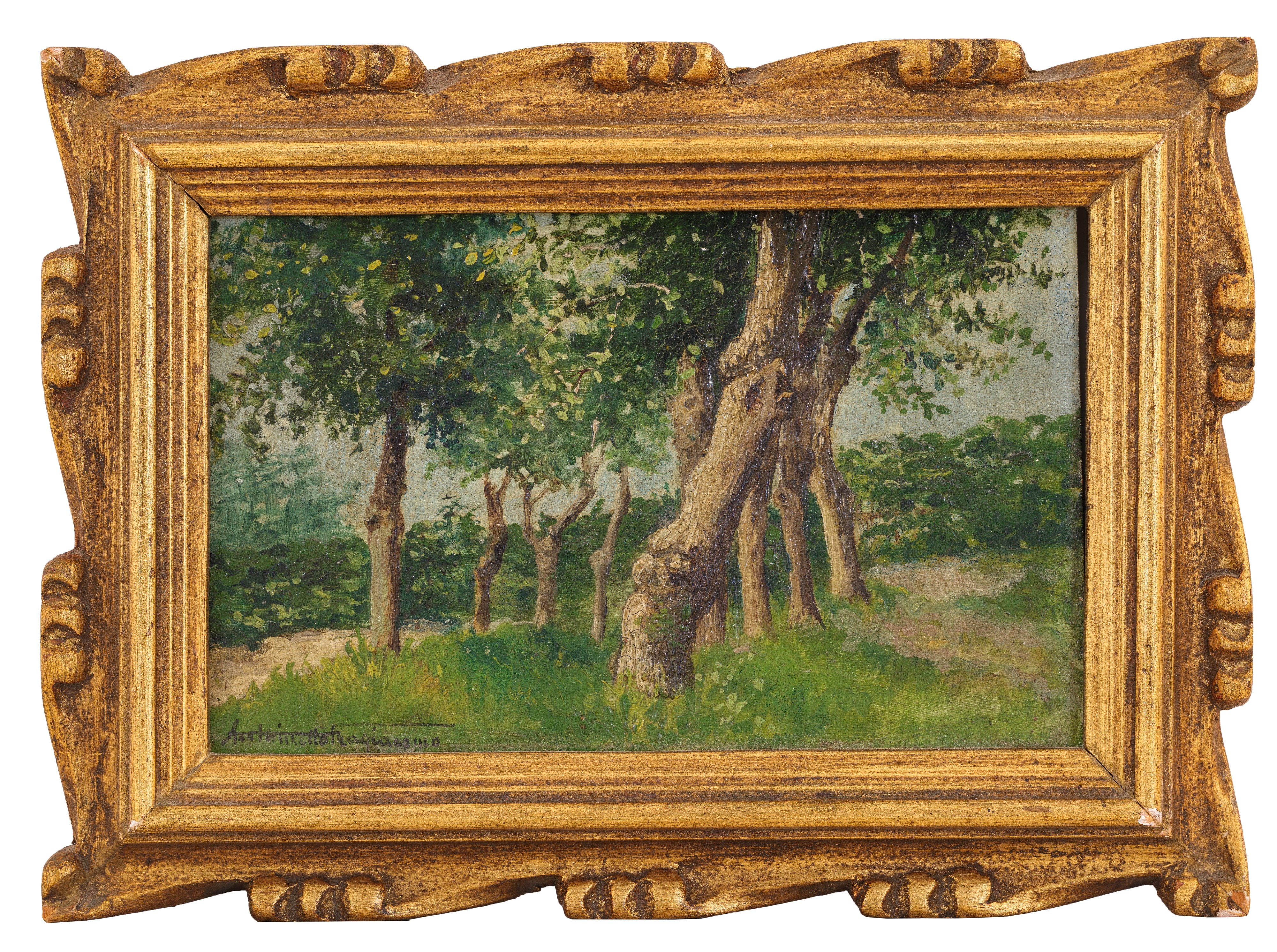 Antonietta Fragiacomo - Bosco