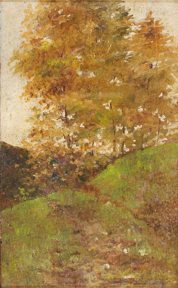 PIETRO FRAGIACOMO - Paesaggio di montagna